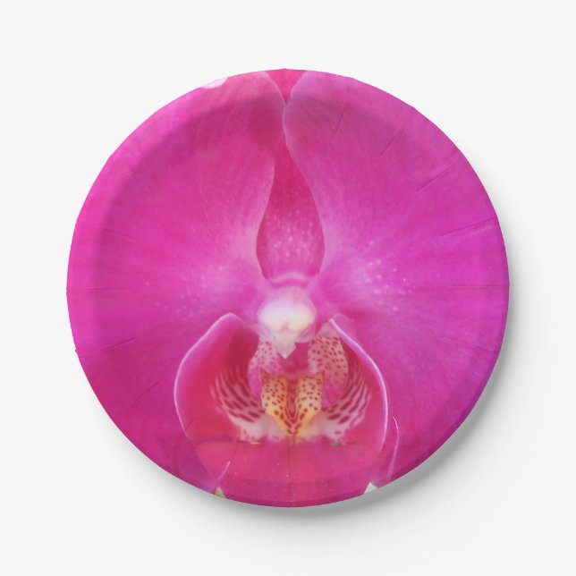 Guda Pappteller (Vorderseite)