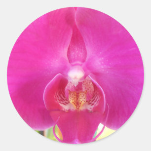 Guda Runder Aufkleber