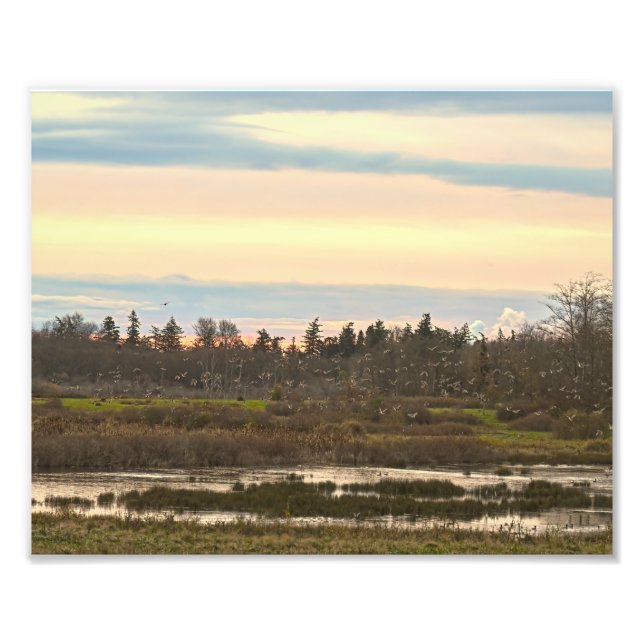 Guemes Island Valley, Guemes Island Fotodruck (Vorne)