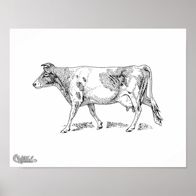 Guernsey Cow Poster (Vorne)