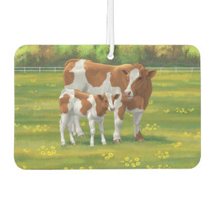 Guernsey Kuh & Niedlich Calf im Sommer Weide Autolufterfrischer