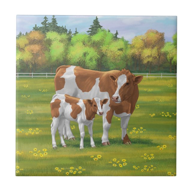 Guernsey Kuh & Niedlich Calf im Sommer Weide Fliese (Vorderseite)