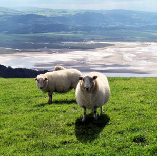 GUH BERGSCHAFT VISITENKARTE