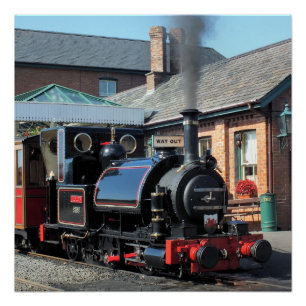 GUH-DAMPFTRAINS POSTER