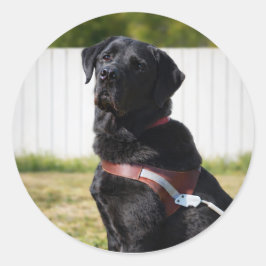 Guide Dog Envelope Seal – Black LabradorWisdom Runder Aufkleber