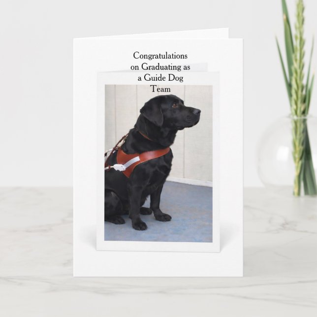 Guide Dog Graduation Congratulations Card Karte (Vorderseite)