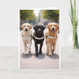 Guide Dog Team Announcement Forward Together  Ankündigung