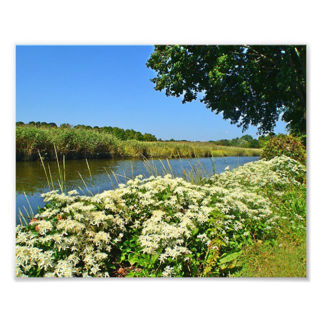 Guilford Marsh Foto Print (Vorne)