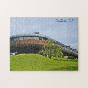 Guilford Spaceship Puzzle