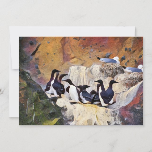 Guillemots Art Feiertagskarte (Vorderseite)