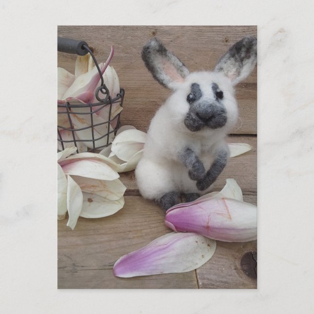 Guilty rabbit postkarte (Vorderseite)