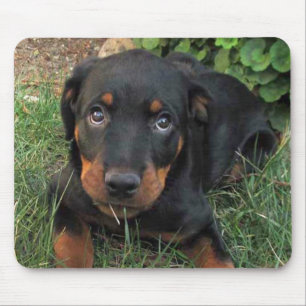 Guilty Rottweiler Puppy Mouse Pad Mousepad