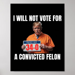 Guilty Trump 2024 Wahl Amerikaner Poster