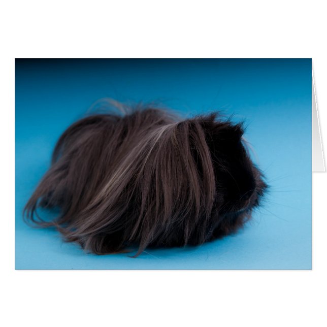 Guinea (Vorderseite (Horizontal))