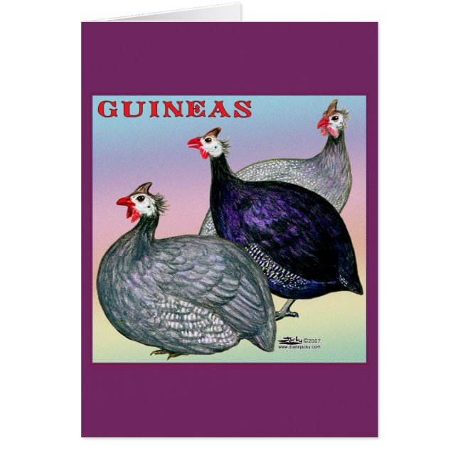 Guinea (Vorne)
