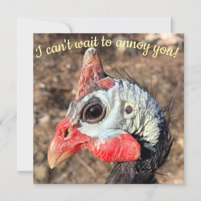 Guinea (Vorderseite)