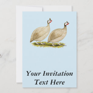 Guinea Buff Dundott Fowl Einladung