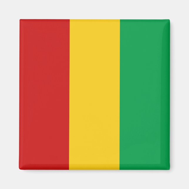 Guinea-Conakry-Flag-Magnet Magnet (Vorne)