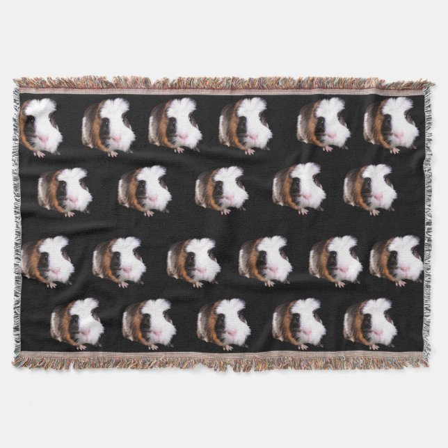 Guinea der Tortoiseshell Decke (Vorderseite)