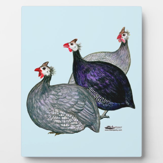 Guinea drei fotoplatte (Vorderseite)