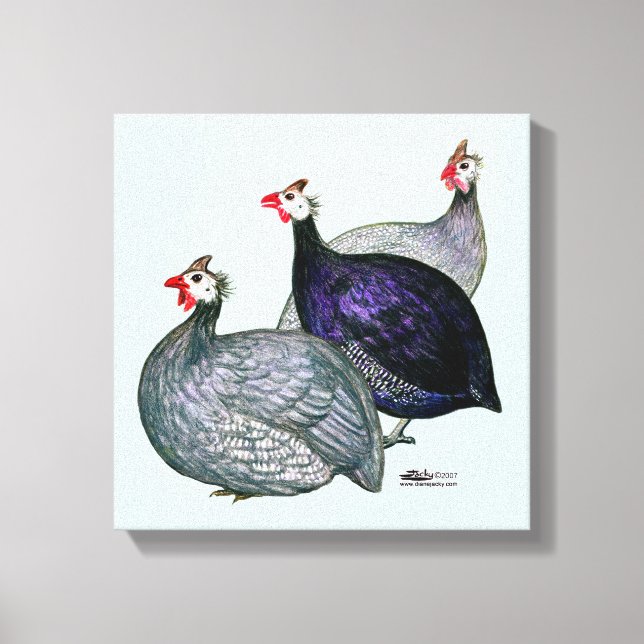 Guinea drei leinwanddruck (Vorderseite)