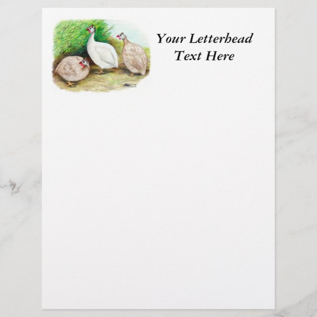 Guinea Fowl Außenbereich (Vorderseite)