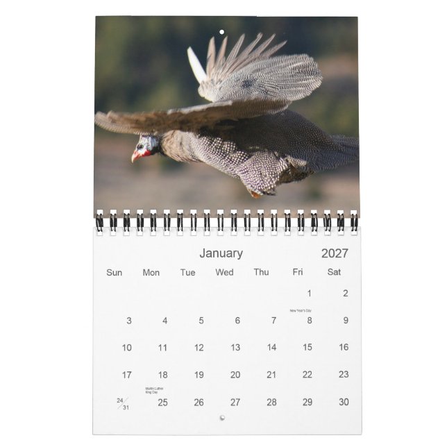 Guinea Fowl Calendar for 2012 Kalender (Jan 2027)