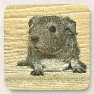 Guinea Getränkeuntersetzer