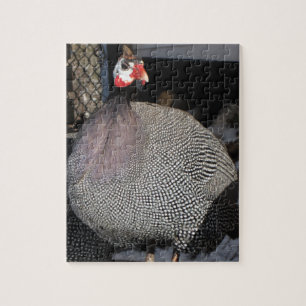 Guinea Hen Jigsaw Puzzle