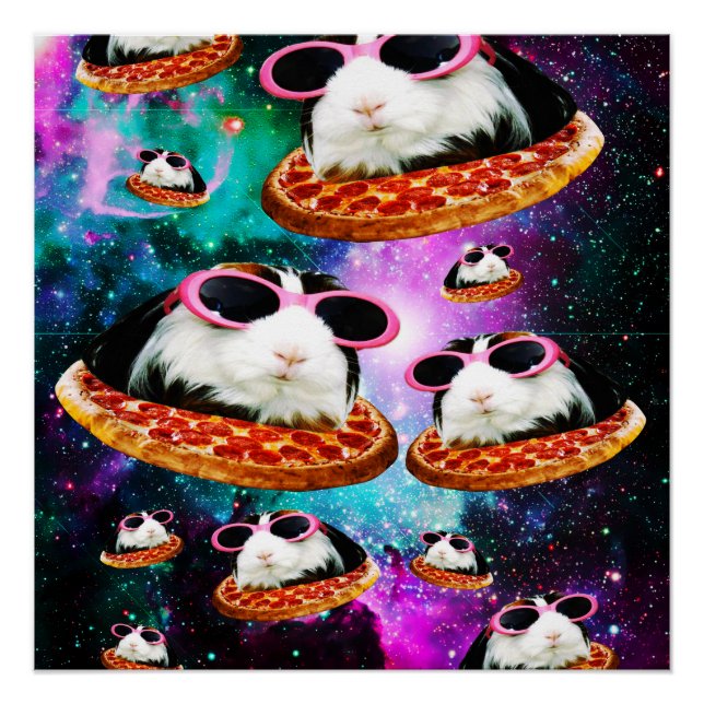 Guinea im sonnigen Raum Poster (Vorderseite)