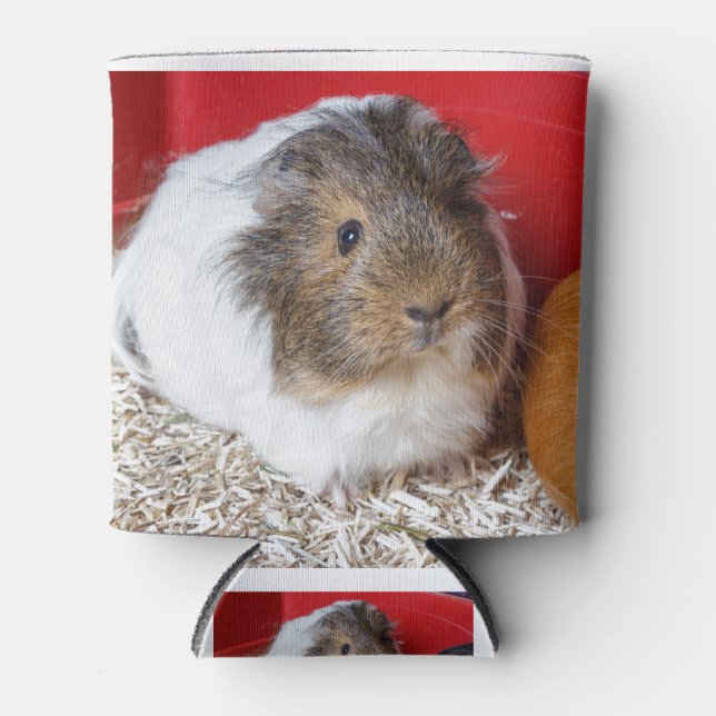 Guinea in Käfigen Dosenkühler (Vorderseite)
