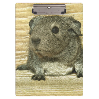Guinea Klemmbrett