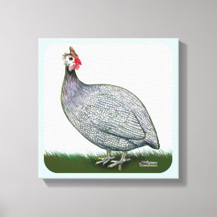 Guinea Lavender Leinwanddruck