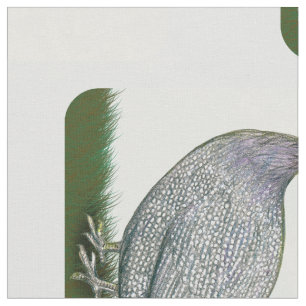 Guinea Lavender Stoff