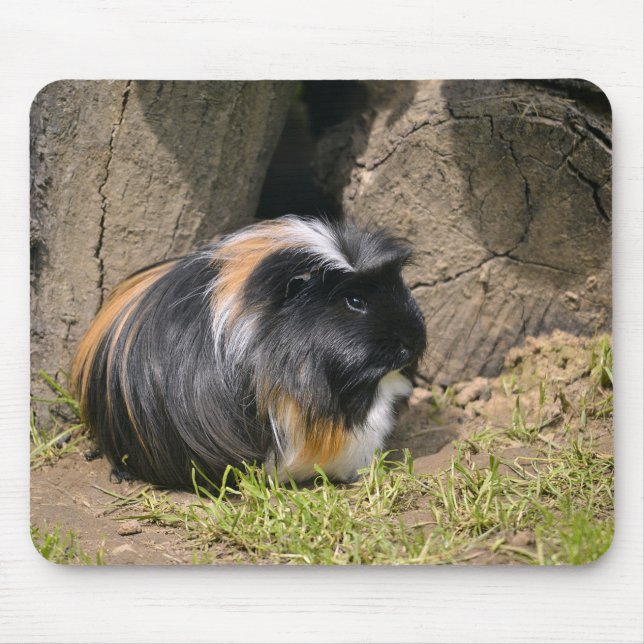 Guinea Mousepad (Vorne)