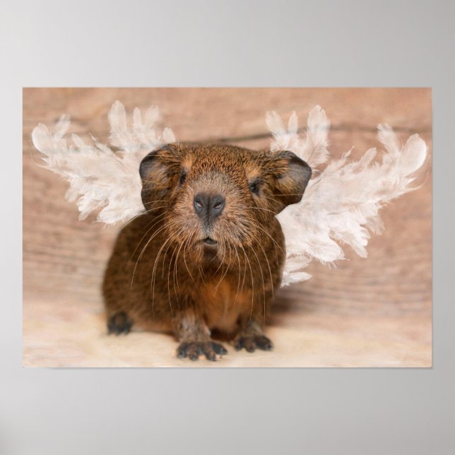 Guinea Pig Angel Poster (Vorne)