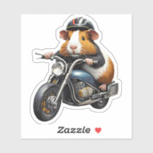 Guinea Pig auf einem Motorrad, Straßenfahrt