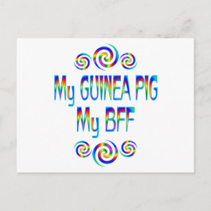 Guinea Pig BESTE FREUNDIN Postkarte