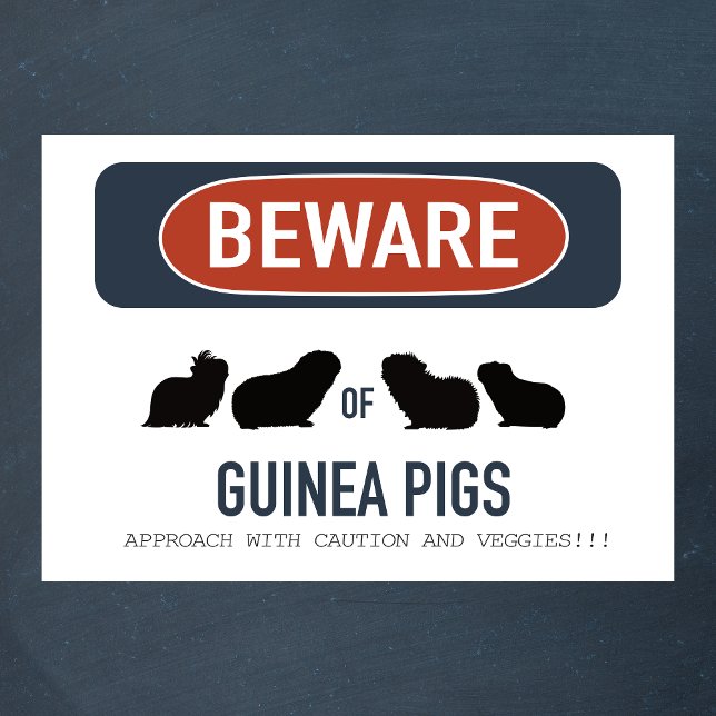 Guinea Pig Beware Poster (Von Creator hochgeladen)