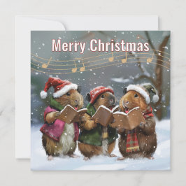 Guinea Pig Carol Sänger Weihnachtskarte Mitteilungskarte