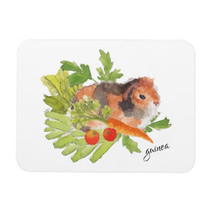 Guinea Pig Carrot Salat Wasserfarbenmagnet Magnet