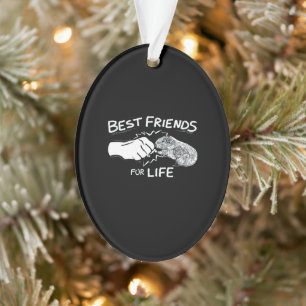 Guinea Pig die besten Lebensfreunde Funny Guinea Ornament