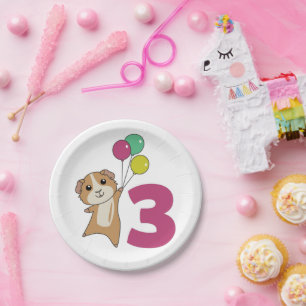 Guinea Pig Dritten Geburtstag Ballons Papier Telle Pappteller
