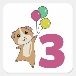 Guinea Pig Dritter Geburtstag Balloons Square Stic Quadratischer Aufkleber