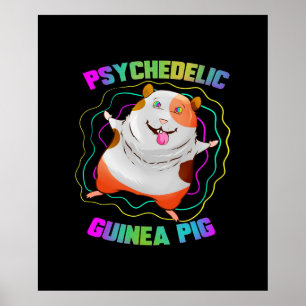 Guinea Pig EDM Party Haustier   Farbige Guinea Poster
