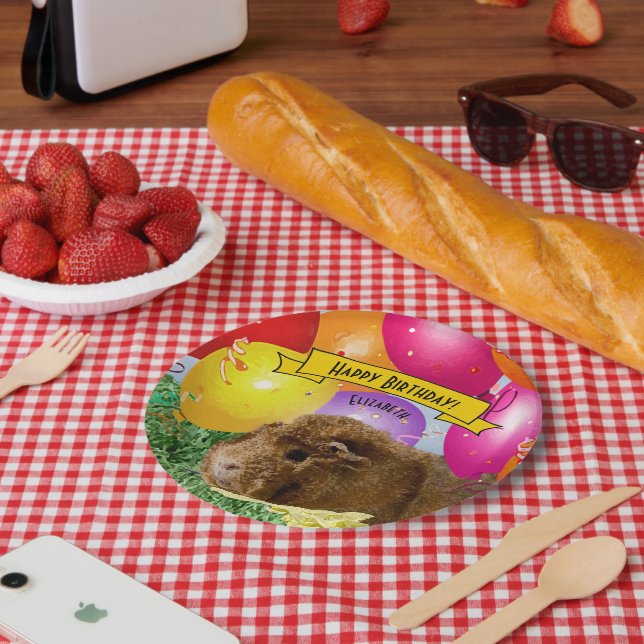 Guinea Pig farbenfrohe Balloons Custom Party Pappteller (Picknick)