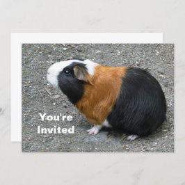 Guinea Pig Foto Geburtstag Einladung