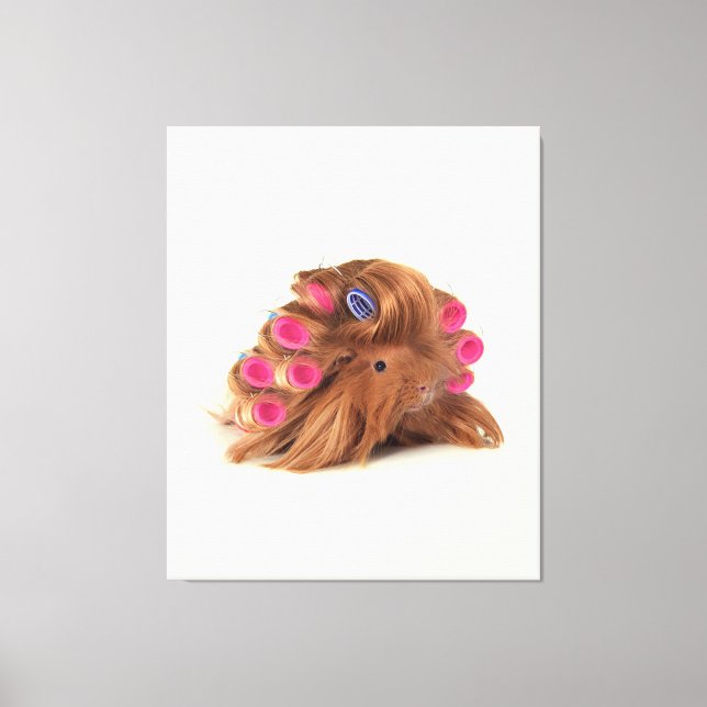 Guinea Pig | Funny Curly Guinea Pig Lover Geschenk Leinwanddruck (Vorderseite)