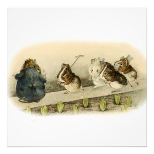 "Guinea Pig Garden" von Beatrix Potter Fotodruck