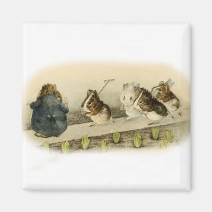 "Guinea Pig Garden" von Beatrix Potter Magnet